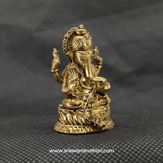 Ganesha on Elephant Head