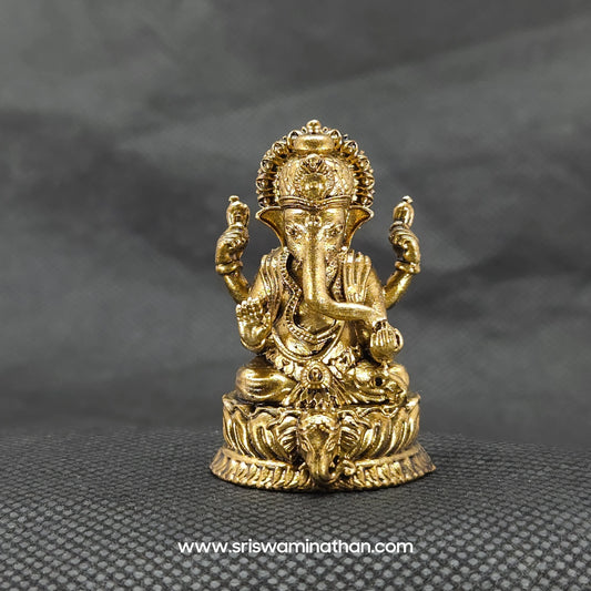 Ganesha on Elephant Head
